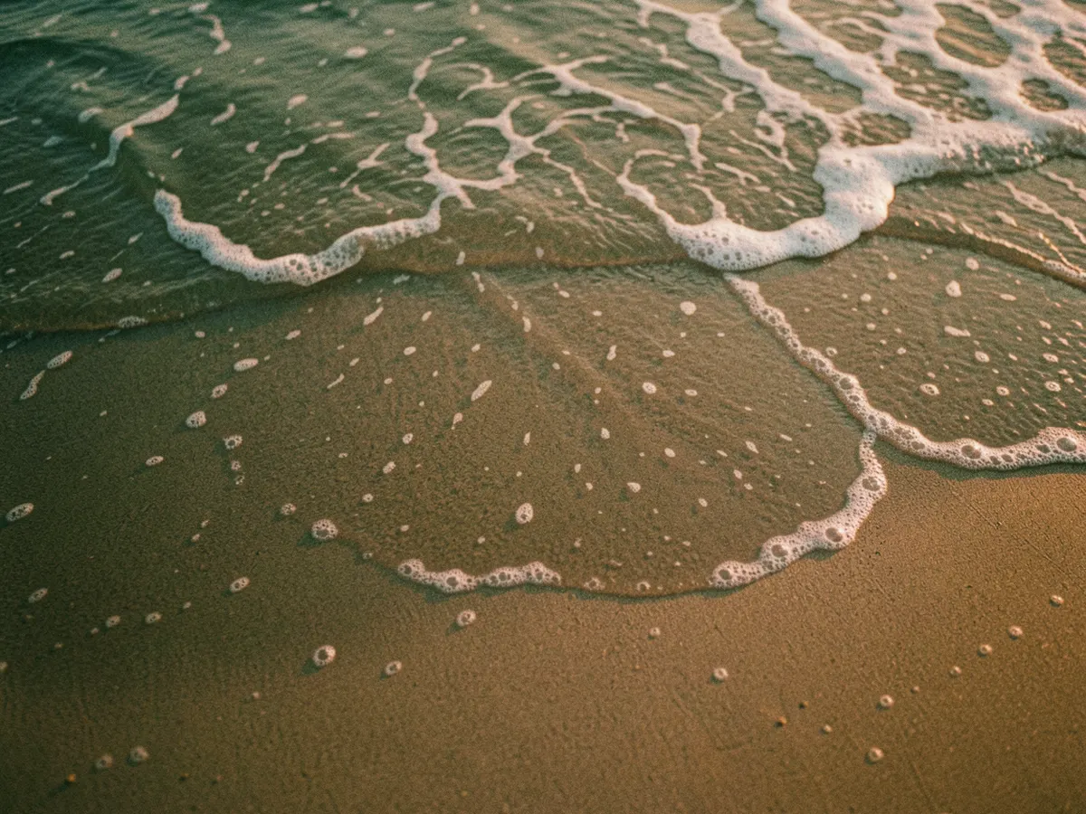 Abstract sand and tide lines in green and amber